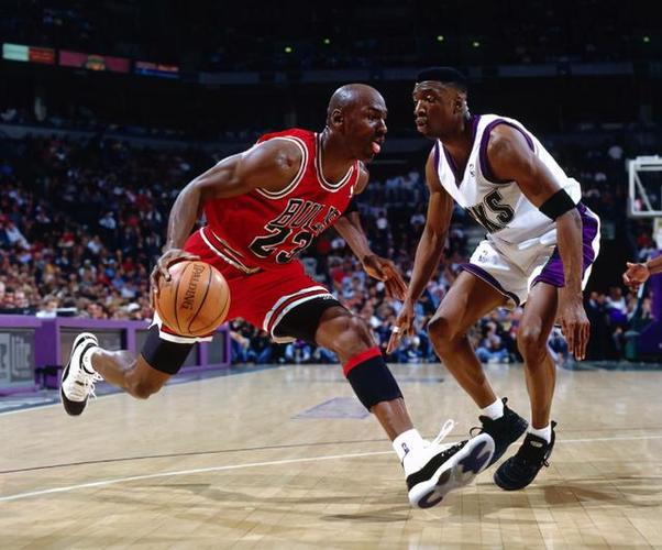 始组建钢架 始组建钢架